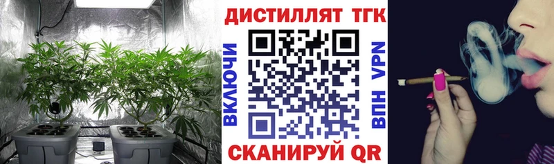 ТГК гашишное масло  продажа наркотиков  Курчалой 