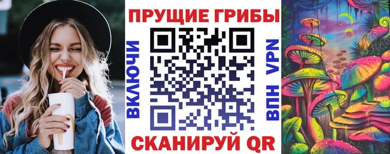 Псилоцибиновые грибы Psilocybine cubensis  хочу   Курчалой 