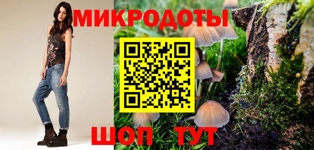 Галлюциногенные грибы GOLDEN TEACHER  Вход с VPN  Галлюциногенные грибы Cubensis  Курчалой 