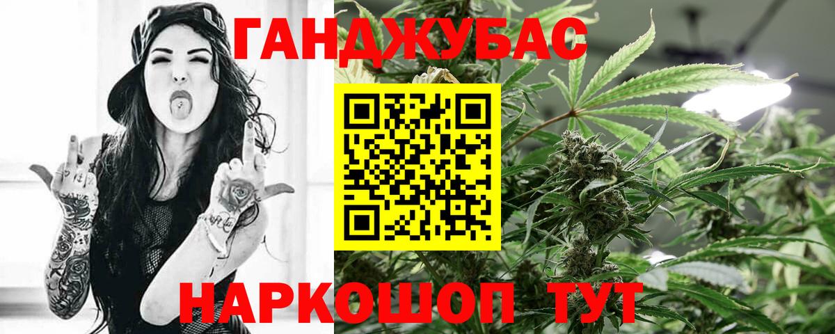 Шишки марихуана тримм  МАРИХУАНА ГИДРОПОН  Курчалой  МАРИХУАНА Ganja  Вход с VPN 